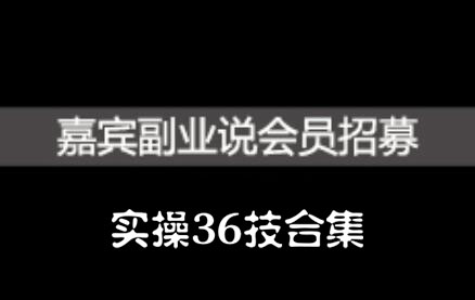 嘉宾副业说实操36技合集，价值1380元-万众网