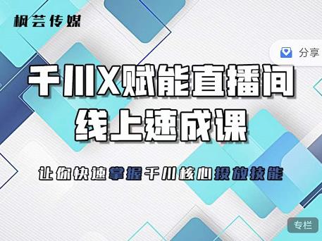 枫芸传媒-线上千川提升课，提升千川认知，提升千川投放效果-万众网