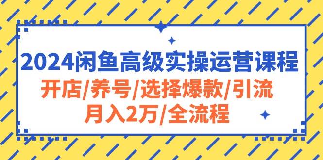 2024闲鱼高级实操运营课程：开店/养号/选择爆款/引流/月入2万/全流程-万众网