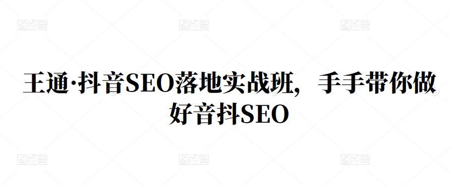 王通·抖音SEO落地实战班，手‬手带你做好音抖‬‬SEO-万众网