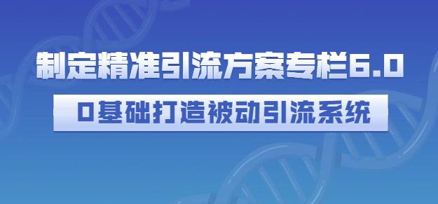 制定精准引流方案专栏6.0，0基础打造被动引流系统-万众网