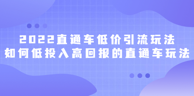 2022直通车低价引流玩法，教大家如何低投入高回报的直通车玩法-万众网