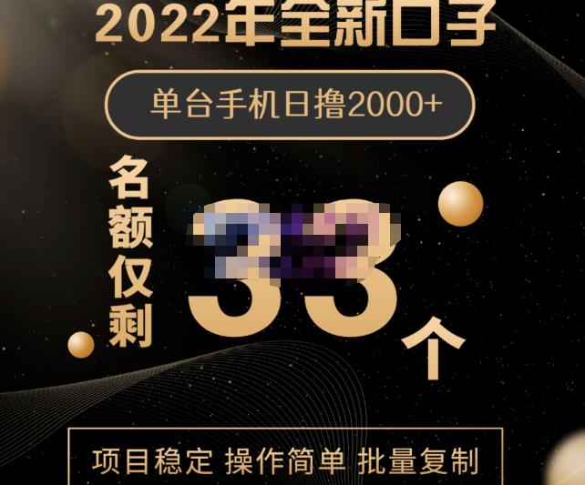 2022年全新口子，手机批量搬砖玩法，一部手机日撸2000+-万众网