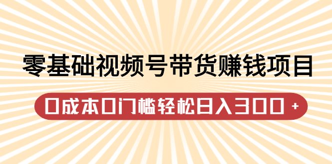 零基础视频号带货赚钱项目，0成本0门槛轻松日入300+【视频教程】-万众网