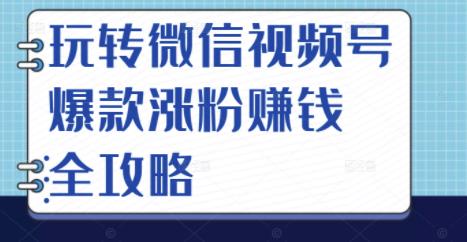 玩转微信视频号爆款涨粉赚钱全攻略，让你快速抓住流量风口，收获红利财富-万众网