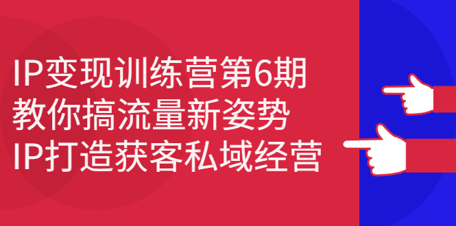 IP变现训练营第6期：教你搞流量新姿势，IP打造获客私域经营-万众网