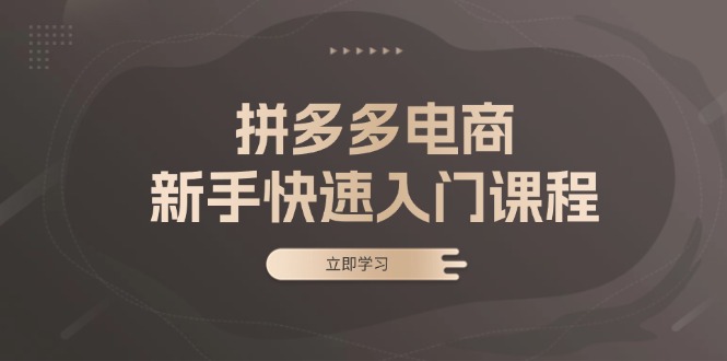 拼多多电商新手快速入门课程：涵盖基础、实战与选款，助力小白轻松上手-万众网