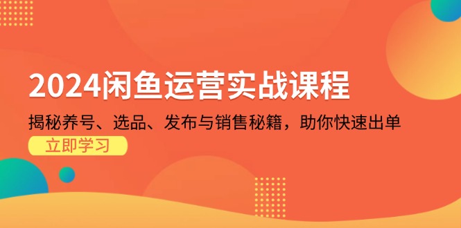 2024闲鱼运营实战课程：揭秘养号、选品、发布与销售秘籍，助你快速出单-万众网