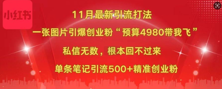 小红书11月最新图片打粉，一张图片引爆创业粉，“预算4980带我飞”，单条引流500+精准创业粉-万众网