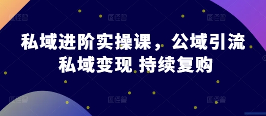 私域进阶实操课，公域引流 私域变现 持续复购-万众网