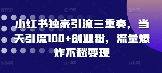 小红书独家引流三重奏，当天引流100+创业粉，流量爆炸不愁变现-万众网