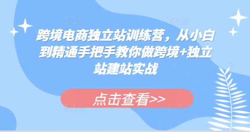 跨境电商独立站训练营，从小白到精通手把手教你做跨境+独立站建站实战-万众网