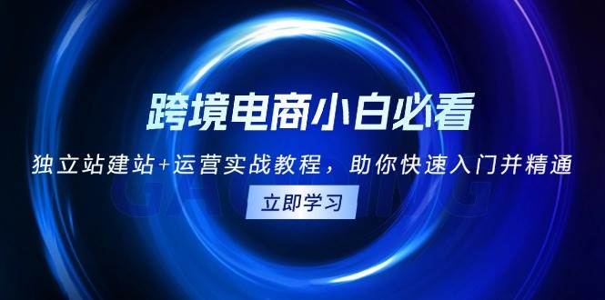 跨境电商小白必看！独立站建站+运营实战教程，助你快速入门并精通-万众网