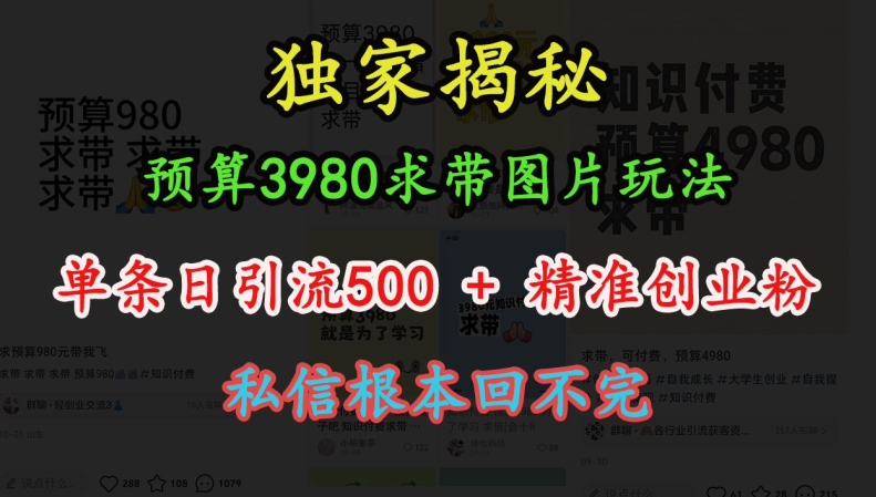 预算3980求带 图片玩法，单条日引流500+精准创业粉，私信根本回不完-万众网