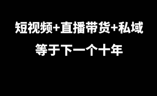 短视频+直播带货+私域等于下一个十年，大佬7年实战经验总结-万众网