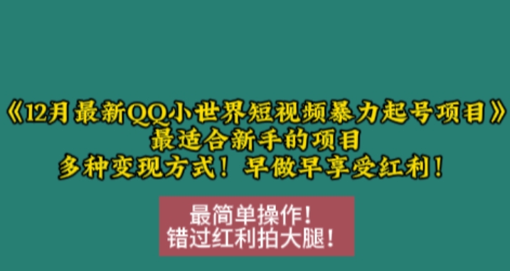 12月最新QQ小世界短视频暴力起号项目，最适合新手的项目，多种变现方式-万众网